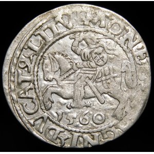 Zygmunt II August, Półgrosz 1560, Wilno - DVX L/LITV