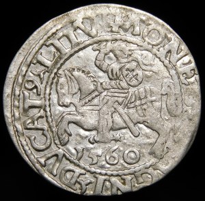 Sigismund II Augustus, Half-penny 1560, Vilnius - DVX L/LITV