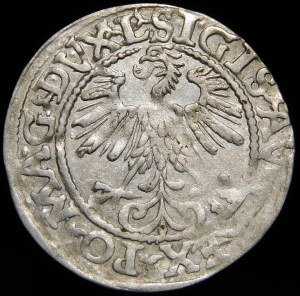 Sigismund II Augustus, Half-penny 1560, Vilnius - DVX L/LITV
