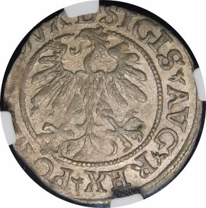 Sigismund II Augustus, Half-penny 1560, Vilnius - DVX L/LITVA - rosette - rare
