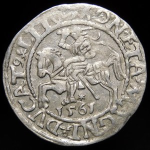 Sigismund II Augustus, Half-penny 1561, Vilnius - 13 Eagle, L/LITV