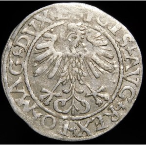 Zygmunt II August, Półgrosz 1561, Wilno - 13 Orzeł, L/LITV