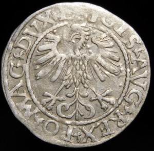 Sigismund II Augustus, Half-penny 1561, Vilnius - 13 Eagle, L/LITV