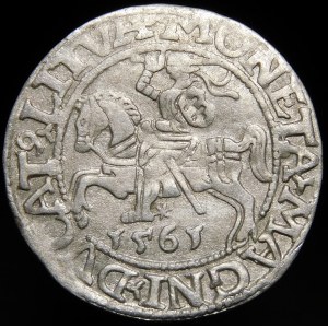 Zygmunt II August, Półgrosz 1561, Wilno - 14 Orzeł, L/LITVA