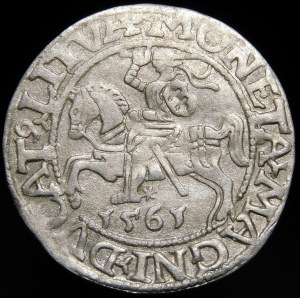 Sigismund II Augustus, Half-penny 1561, Vilnius - 14 Eagle, L/LITVA