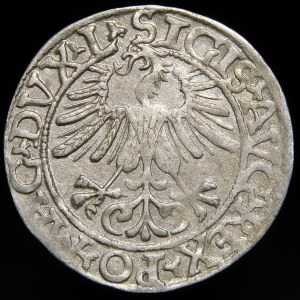 Sigismund II Augustus, Half-penny 1561, Vilnius - 14 Eagle, L/LITVA