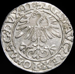 Sigismund II Augustus, Half-penny 1561, Vilnius - 14 Eagle, LI/LITVA