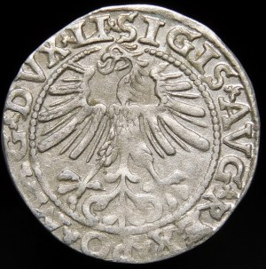 Sigismund II Augustus, Half-grosz 1563, Vilnius - 19 Pogon, Axe, DVX LI/LITV