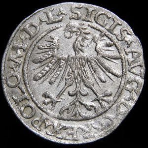 Sigismund II Augustus, Half-penny 1563, Vilnius - 20 Pogon, Axe, M D L/LITV