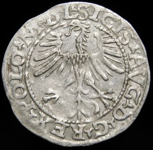 Sigismund II Augustus, Half-grosz 1564, Vilnius - 21 Pogon, Axe, L/LITVA
