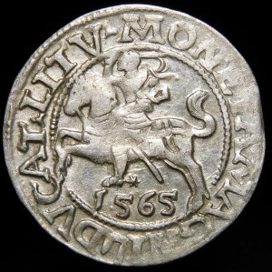 Sigismund II Augustus, Half-penny 1565, Vilnius - 22 Pogon, Axe, L/LITV