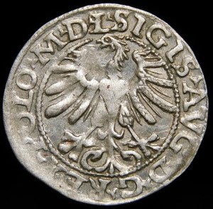 Sigismund II Augustus, Half-penny 1565, Vilnius - 22 Pogon, Axe, L/LITV