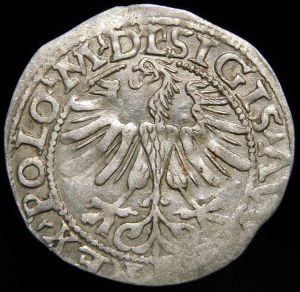 Sigismund II Augustus, Half-penny 1565, Vilnius - 22 Pogon, Axe, L/LITV
