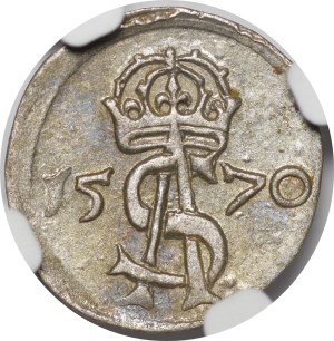 Sigismund II Augustus, Dwudenar 1570, Vilnius