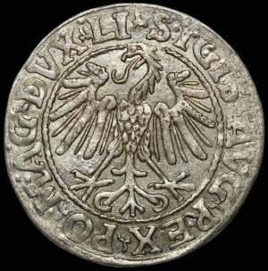 Sigismund II Augustus, Half-penny 1546, Vilnius - newer Eagle type - LI/LITV