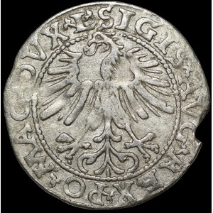 Zygmunt II August, Półgrosz 1563, Wilno - 19 Pogoń, Topór, DVX L/LIT - rzadki