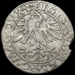 Sigismund II Augustus, Half-penny 1563, Vilnius - 19 Pogon, Axe, DVX L/LIT - rare