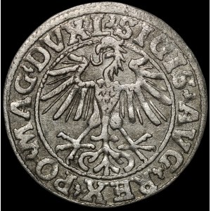 Zygmunt II August, Półgrosz 1550, Wilno - L/LITVA - b. rzadki