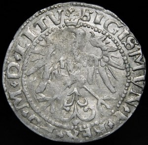 Sigismund I the Old, Penny 1536, Vilnius - letter I - LITV/LITVA - very rare.
