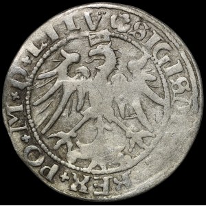 Zygmunt I Stary, Grosz 1536, Wilno - litera A - LITV/LITV - b. rzadki