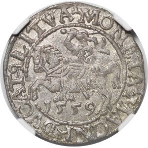 Zygmunt II August, Półgrosz 1559, Wilno - L/LITVA