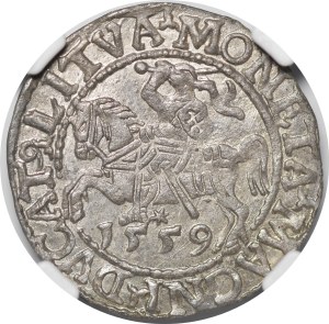 Sigismund II Augustus, Half-penny 1559, Vilnius - L/LITVA