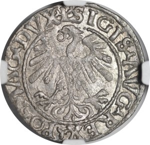 Sigismund II Augustus, Half-penny 1559, Vilnius - L/LITVA