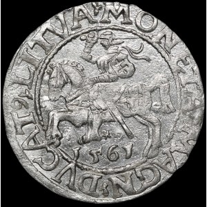 Zygmunt II August, Półgrosz 1561, Wilno - 14 Orzeł, LI/LITVA - błąd MAGN - b. rzadki
