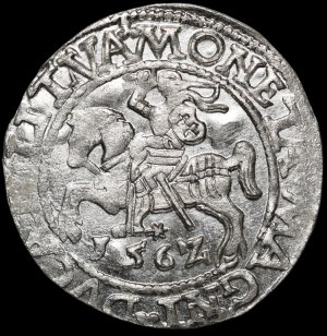 Sigismund II Augustus, Half-grosz 1562, Vilnius - 17 Pogon, L/LITVA