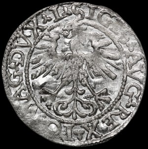 Sigismund II Augustus, Half-grosz 1562, Vilnius - 17 Pogon, L/LITVA