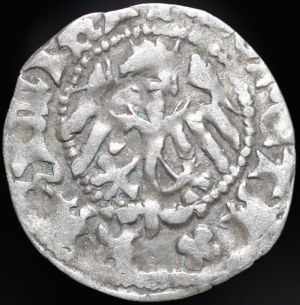 Casimir IV Jagiellonian, Half-grosz Kraków - Poraj