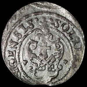 Sigismund III Vasa, 1621 shellac, Riga - POL M D L - ornaments