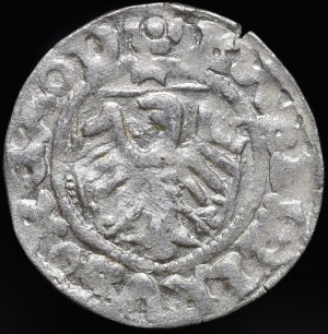 Casimir IV Jagiellonian, Szeląg Danzig - variety