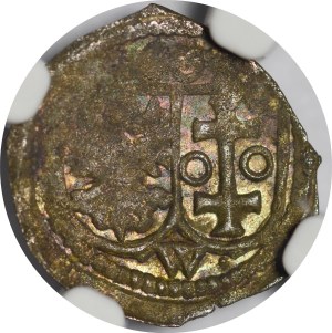 Sigismund III Vasa, One-sided denarius 1609, Wschowa