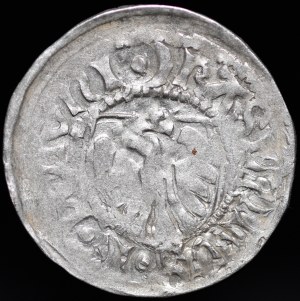 Casimir IV Jagiellonian, the Gdansk Shelrog - crescent - rare