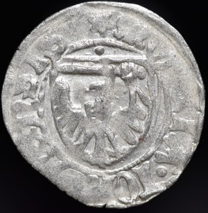 Casimir IV Jagiellonian, Szeląg Toruń - rosettes