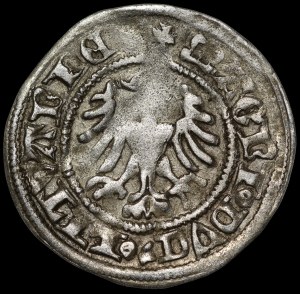 Alexander Jagiellonian, Vilnius half-penny - Gothic - large spacing - rare