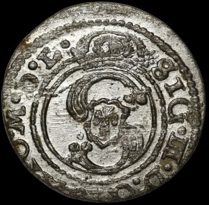 Sigismund III Vasa, Shelrogue 1625, Vilnius