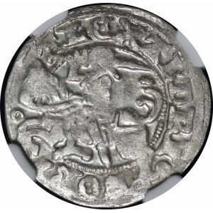 Aleksander Jagiellończyk, Półgrosz Wilno - gotyk - III emisja