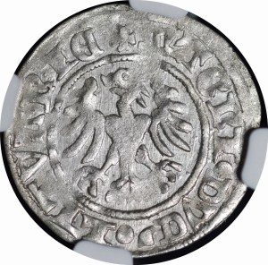 Alexander Jagiellonian, Vilnius half-penny - Gothic - 3rd issue
