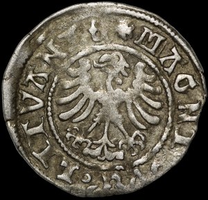 Alexander Jagiellonian, Vilnius half-penny - Gothic/Renaissance - 5th issue - very rare