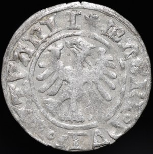 Alexander Jagiellonian, Vilnius half-penny - Gothic - 6 feathers - very rare