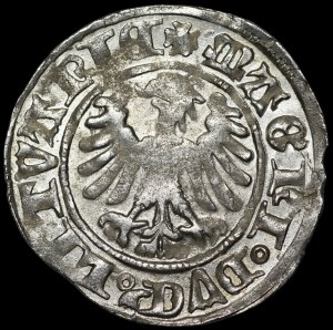 Alexander Jagiellonian, Vilnius half-penny - Gothic - 4th issue - beautiful