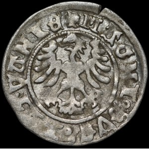 Alexander Jagiellonian, Vilnius half-penny - Gothic/Renaissance - 5th issue - rare