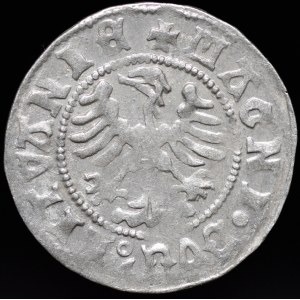 Aleksander Jagiellończyk, Półgrosz Wilno - renesans - VII emisja