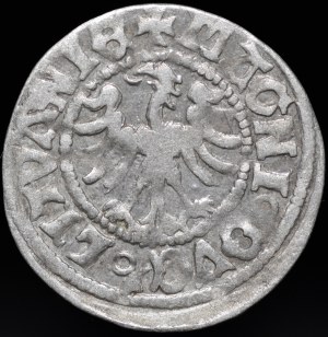 Alexander Jagiellonian, Vilnius half-penny - Renaissance - 7th issue - variant