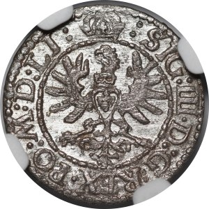 Sigismund III Vasa, 1623 Shelrogue, Vilnius - Eagle - beautiful