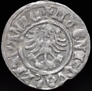 Alexander Jagiellonian, Half-penny of Vilnius - Renaissance - 8th issue