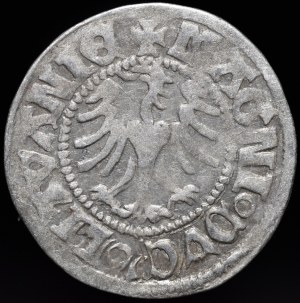 Alexander Jagiellon, Vilnius half-penny - Renaissance - 8th issue - ring