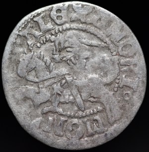 Alexander Jagiellonian, Vilnius half-penny - Renaissance - 8th issue - ring - very rare.